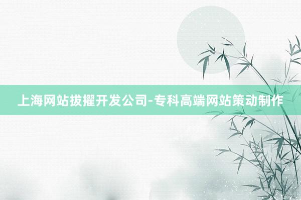 上海网站拔擢开发公司-专科高端网站策动制作