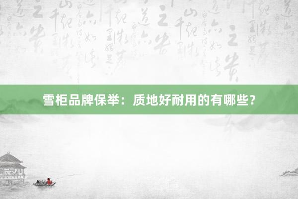 雪柜品牌保举：质地好耐用的有哪些？